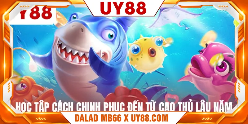 Học tập cách chinh phục đến từ cao thủ lâu năm Học tập cách chinh phục đến từ cao thủ lâu năm