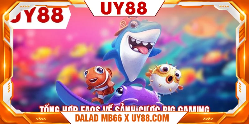 Tổng hợp FAQs về sảnh cược Big Gaming