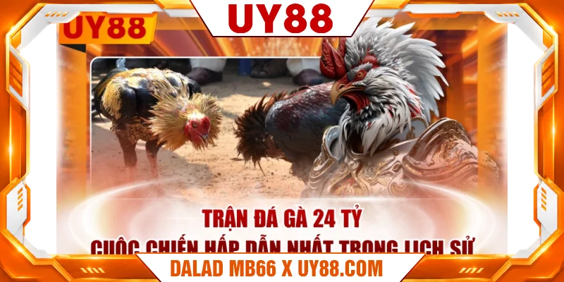Trận Đá Gà 24 Tỷ - Cuộc Chiến Hấp Dẫn Nhất Trong Lịch Sử
